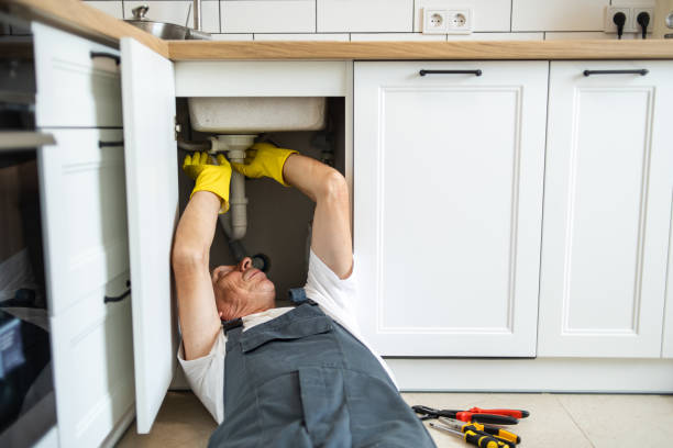 Best 24-Hour Plumber Near Me  in Cambridge Springs, PA