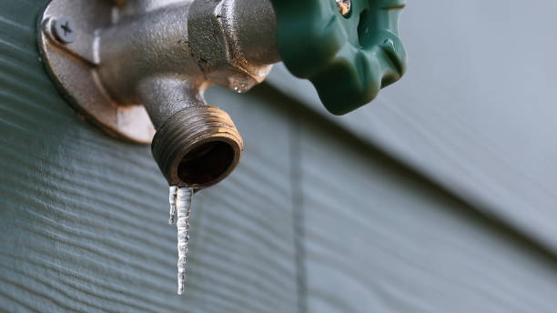 Best Local Plumber Services  in Cambridge Springs, PA